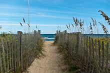 A Path To The Beach #2