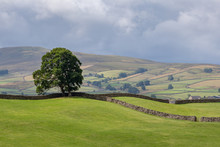View Of The Rolling Hills In The Yorkshire Dales National Park Near Hawes