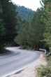 strada di montagna con molte curve perfetta per uno splendido viaggio in macchina