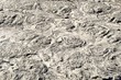 texture shale swirl section with circles from water current