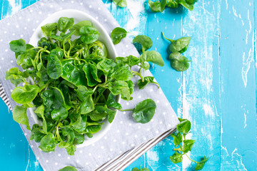 Canvas Print - Fresh Watercress  on table background