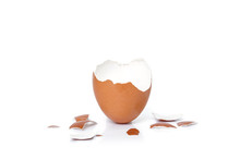 Egg Shell Broken Crack Food On White Background