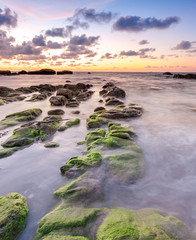 view of beautiful sunset at the beach with natural coastal rocks covered by green moss. soft focus due to slow shutter effect.