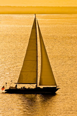 Canvas Print - Sailboat in Golden Bay