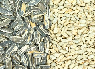 seed sunflower pile top view background.