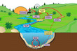 natural decay cycle of bacteria inputs by manure or fartilizer foilage sand regrowth wash off run off stream water release sediment river rain partition particle