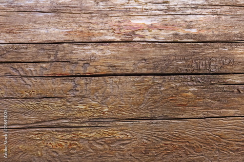 Beetle Eaten Old Wood Texture Buy This Stock Photo And Explore