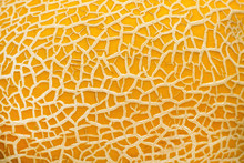 Ripe Yellow Melon Texture Backdrop