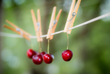 Wall Mural - whimsical image of bing cherries on a clothes line. There is a soft focus green and blue background . The fruit is hanging with a clothes pin. 