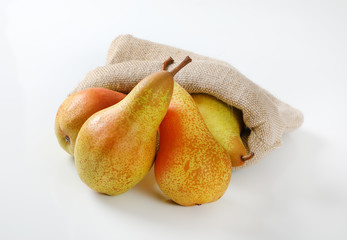 Canvas Print - ripe pears in burlap sack