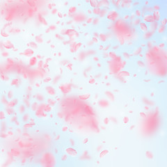 Sakura petals falling down. Romantic pink flowers gradient. Flying petals on blue sky square backgro