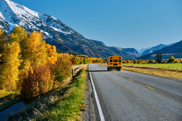 Wall Mural - School bus on highway in Colorado at autumn