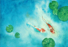 Watercolor Hand Painting, Two Koi Carp Fish In Pond, Symbol Of Good Luck And Prosperity