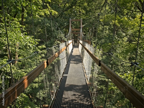 Obrazy most w dżungli  wiszacy-most-w-dzungli