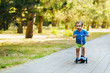 © AMR Studio - Little child riding on blue kick scooter along the paved road in the park in summer or autumn day. Sunny lawn in the background. Children sports and outdoor activity concept