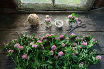 Wall Mural - pink clover flowers, mortar, clover tincture or infusion, scissors and jute on old wooden table insi