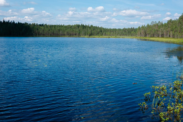 Wall Mural - lake in Finland