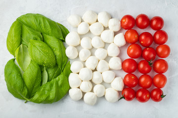 Italian flag made with Tomato Mozzarella and Basil. The concept of Italian cuisine on a light background. Top view with. Flat lay