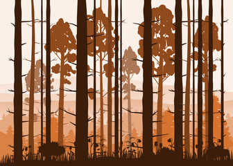 Wall Mural - Sunny forest background. Vector illustration of woods in forest in sunlight background. Isolated