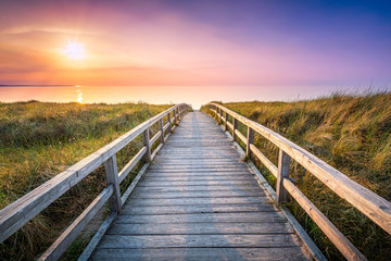 Wall Mural - holzsteg führt durch die dünen zum strand