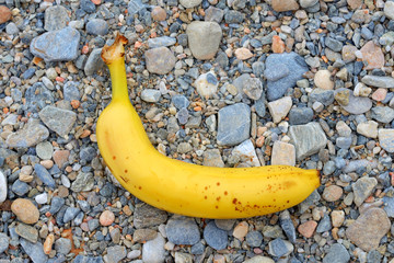 Yellow banana lying on colored stones