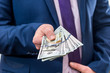 © RomanR - businessman holding large amount of dollar and give you