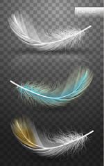 Wall Mural - isolated falling fluffy twirled feathers on transparent background in realistic style. vector illust