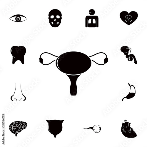 Sexual organs of a woman icon. Detailed set of Human parts icons ...