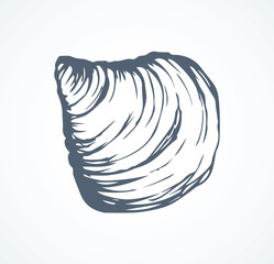 Sticker - Oyster. Vector drawing