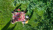© Iuliia Sokolovska - Happy family having picnic in park, parents with kids sitting on grass and eating healthy meals outdoors, aerial view from above