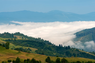 Wall Mural - Foggy morning in the mountains