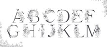 Wedding Alphabet. Initials With Botanical Elements. Monogram Arrangement.