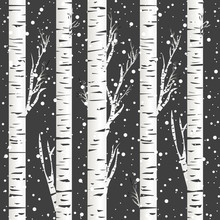 Winter Background With Birch Trees And Snowflakes