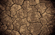 Dried cracked earth soil ground texture background. Global warming