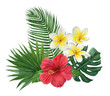 Hand painted watercolor tropical  bouquet: monstera, palm leaves, plumeria, hibiscus