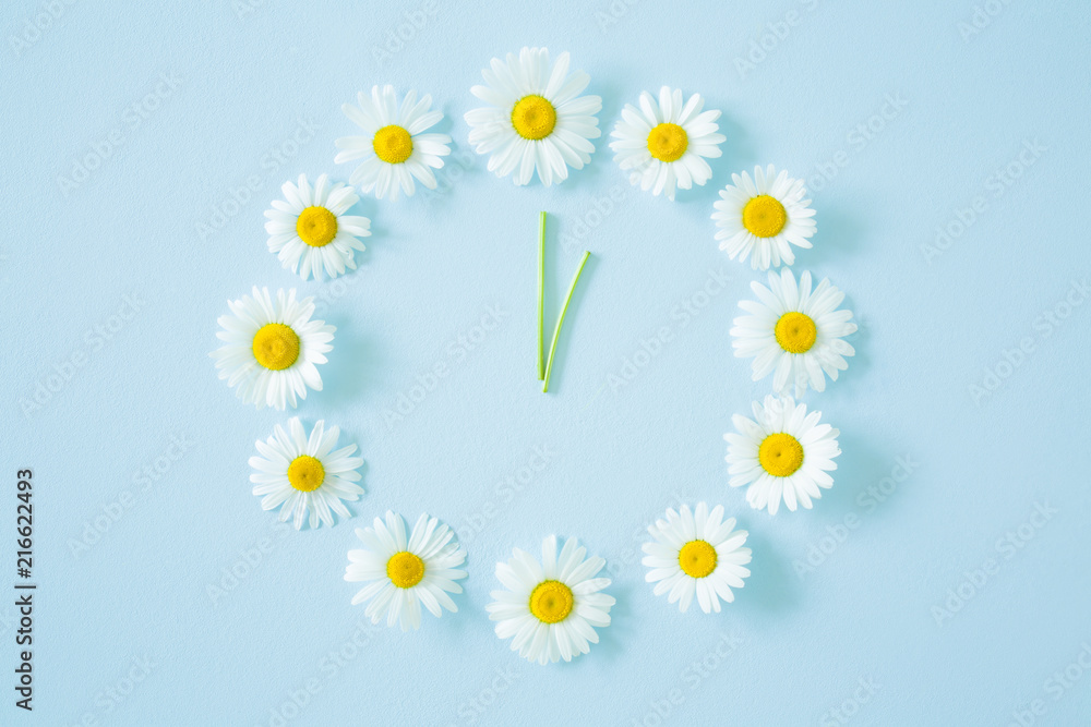 Flower clock created from fresh, beautiful white daisies on pastel blue background. Wild flowers. Soft light color. Time concept. - obrazy, fototapety, plakaty 