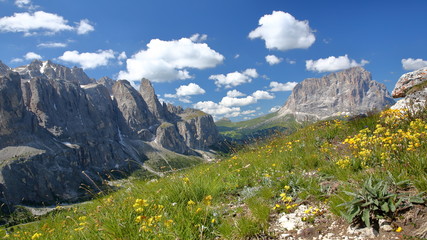 Sella Group mountains (on the left) and Sassolungo mountain (on the right) viewed from a hiking path in Puez Odle Natural Park, with yellow flowers in the foreground, Val Gardena, Dolomites, Italy