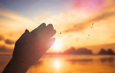 Wall Mural - the concept of god`s salvation:human hands open palm up worship