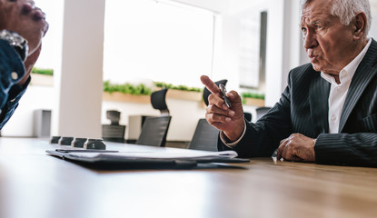 Executive explaining business contract to coworker