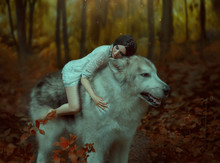 A Fragile Girl Riding A Wolf, Like Princess Mononoke. Sleeping Beauty. Alaskan Malamute Is Like A Wild Wolf. The Background Is A Fabulous Forest In Warm Autumn Colors