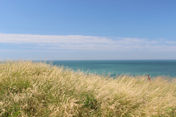 Wall Mural - plage de normandie, france