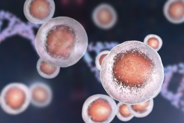 Poster - Human cells on a background with DNA, 3D illustration. Stem cells research