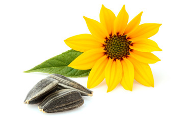 Wall Mural - Sunflower seeds with flower isolated.