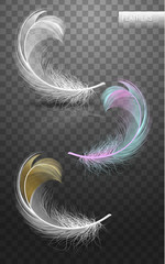 Wall Mural - isolated falling fluffy twirled feathers on transparent background in realistic style. vector illust