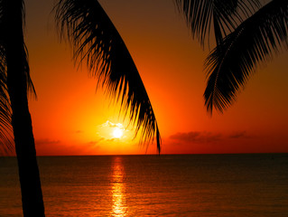 Bright gold sunset with ocean reflection