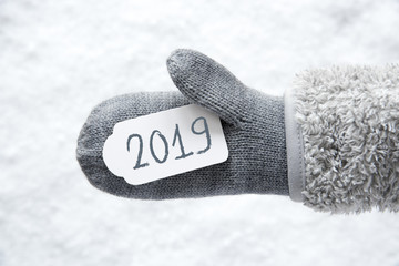 Wall Mural - Wool Glove, Label, Snow, Text 2019