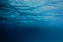 Underwater View Of The Sea Surface
