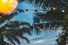Blurred Light Bokeh With Coconut Palm Tree Background On Sunset