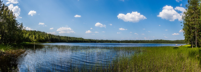 Wall Mural - Summer landscape - lake shore in sunny day