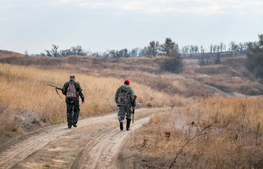 Two hunters moving with shotgun, looking for prey. Hunting for hare